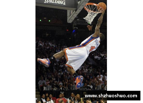2007年NBA全明星扣篮大赛：飞扬激荡的篮球盛宴