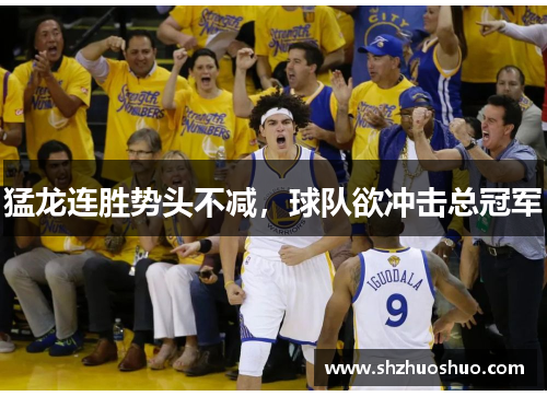 猛龙连胜势头不减，球队欲冲击总冠军