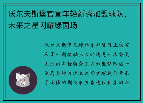 沃尔夫斯堡官宣年轻新秀加盟球队，未来之星闪耀绿茵场