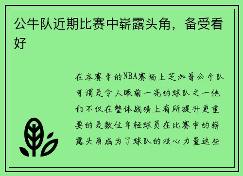 公牛队近期比赛中崭露头角，备受看好