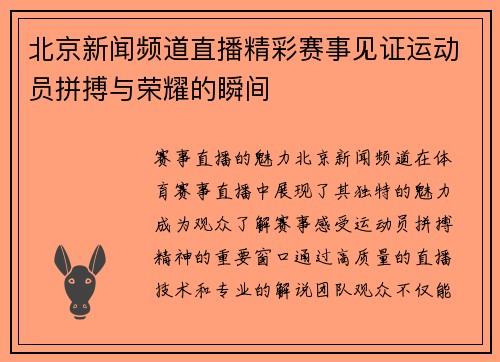 北京新闻频道直播精彩赛事见证运动员拼搏与荣耀的瞬间